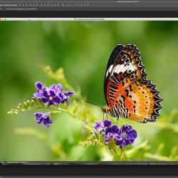 Photoshop tabbed documents and floating windows tutorial