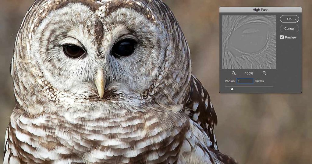 How to sharpen images with High Pass in Photoshop